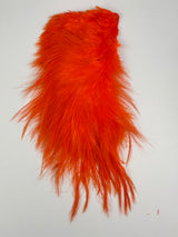 Whiting Bird Fur