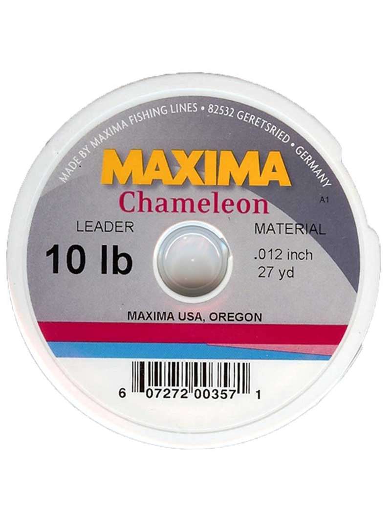 Maxima Chameleon ￼