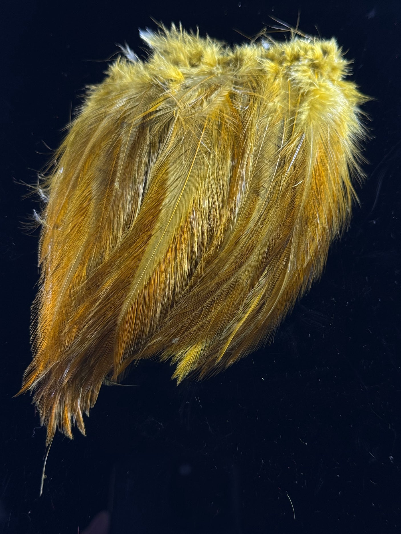 Hareline Saltwater Neck Hackle