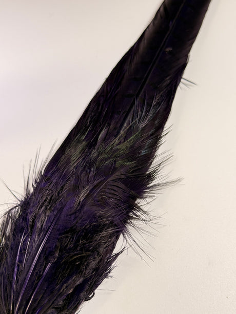 Ringneck Pheasant Tail Clump