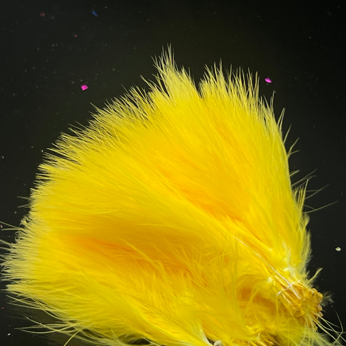 Strung Blood Quill Marabou