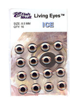 Fish Skull Living Eyes