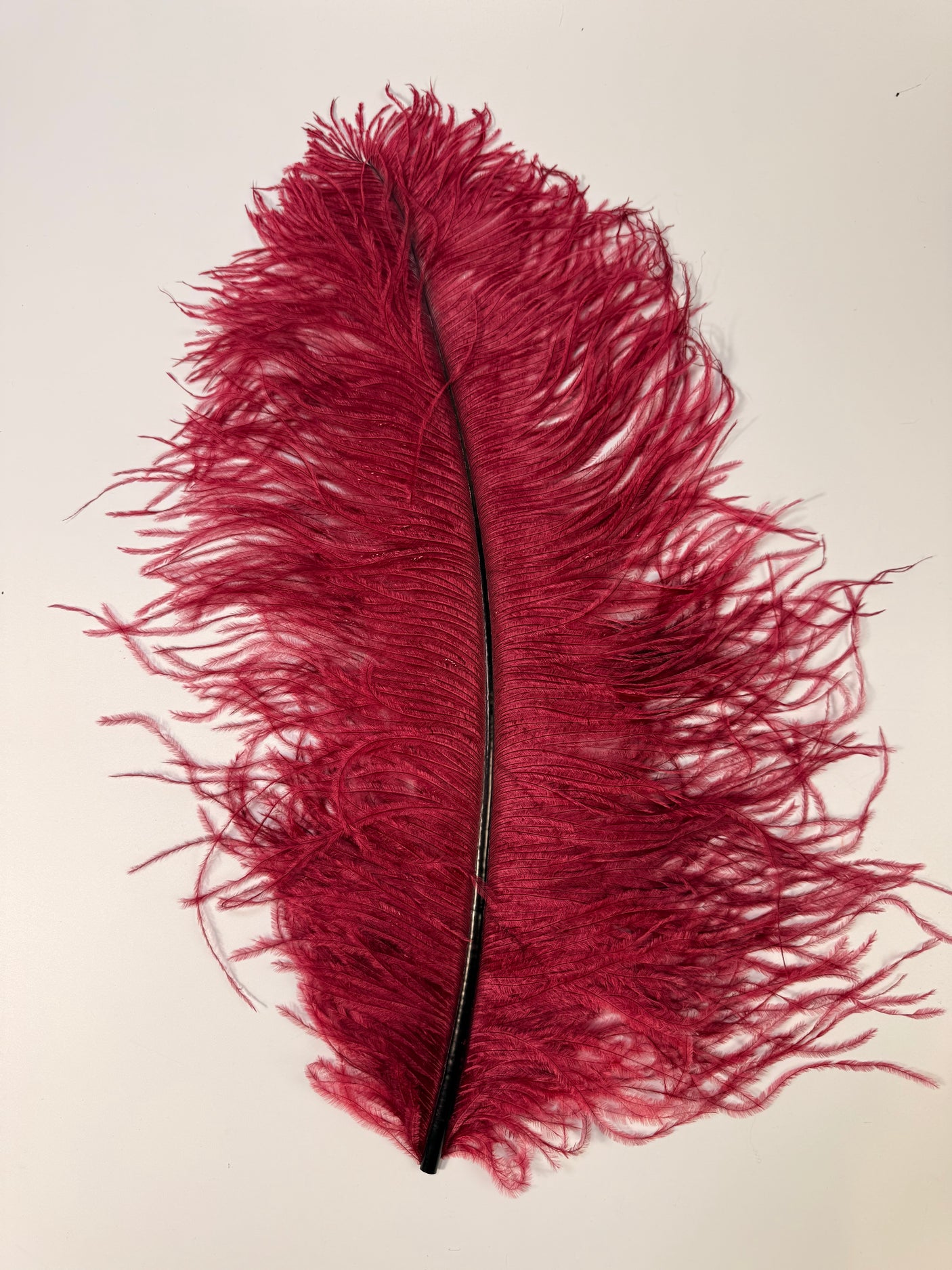 Jumbo Ostrich Plume