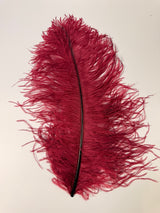 Jumbo Ostrich Plume