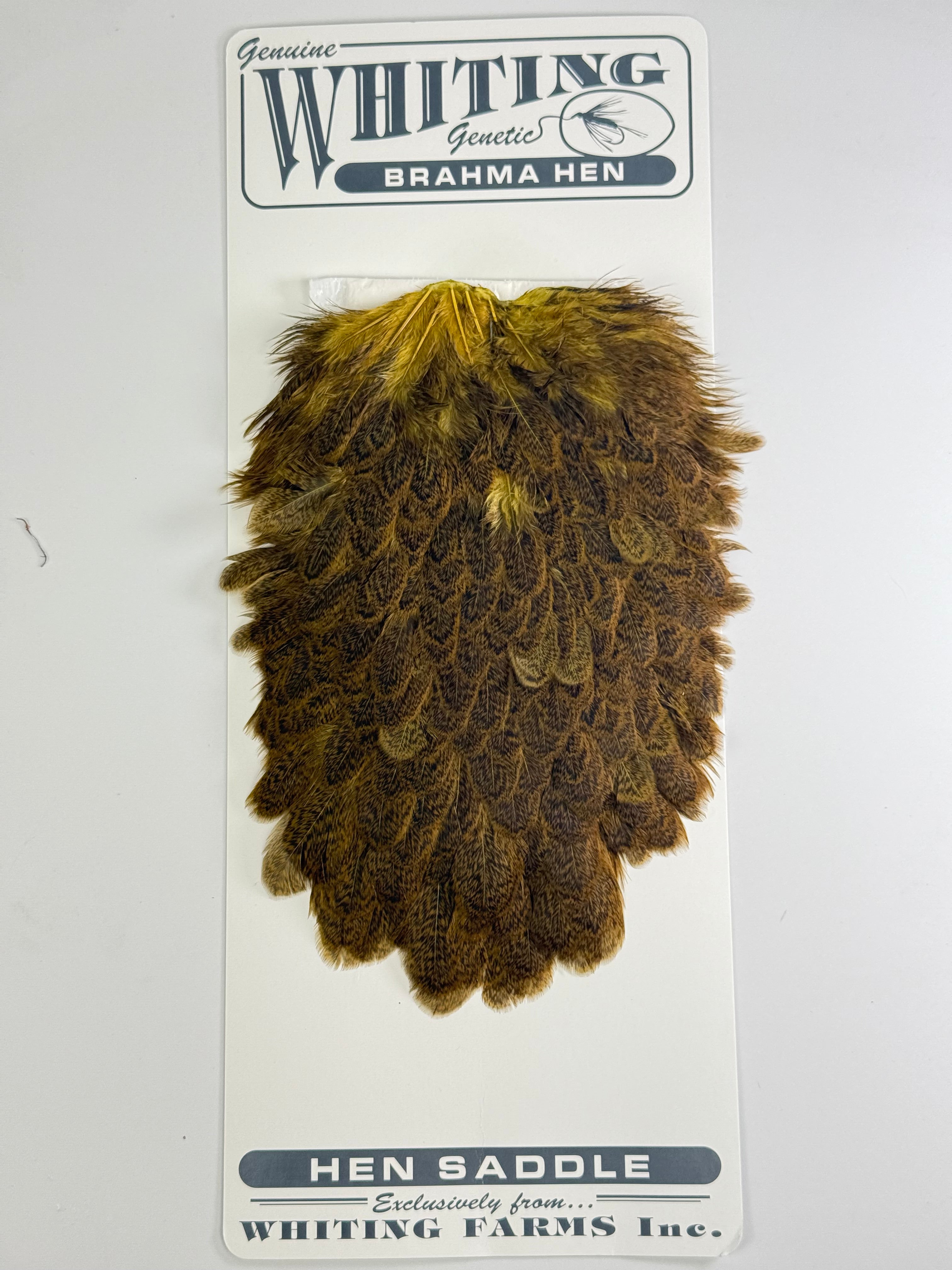 Whiting Brahma Hen Saddle at Waters West Fly Fishing Outfitters.