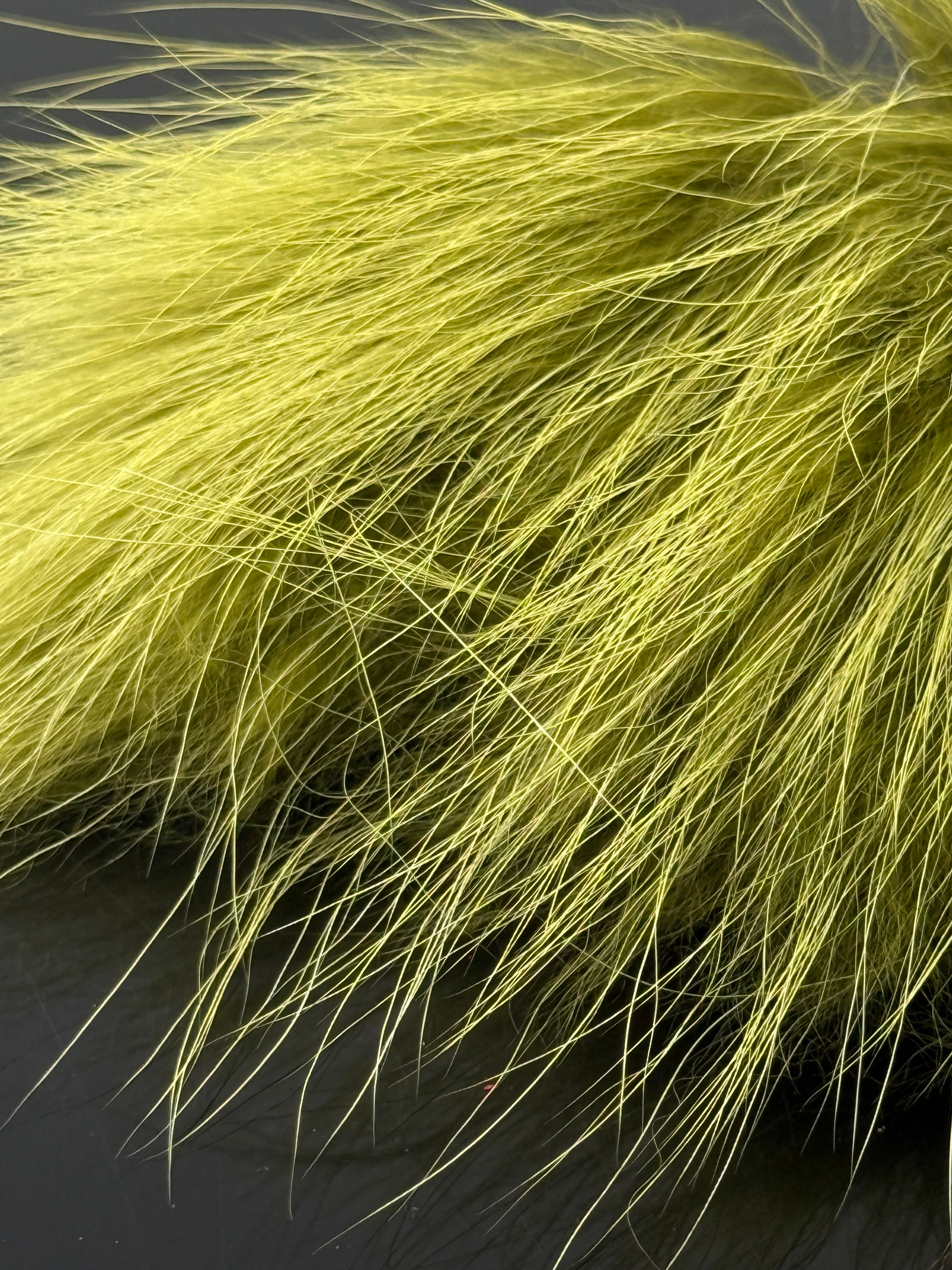Finn Raccoon at Waters West Fly Fishing Outfitters.