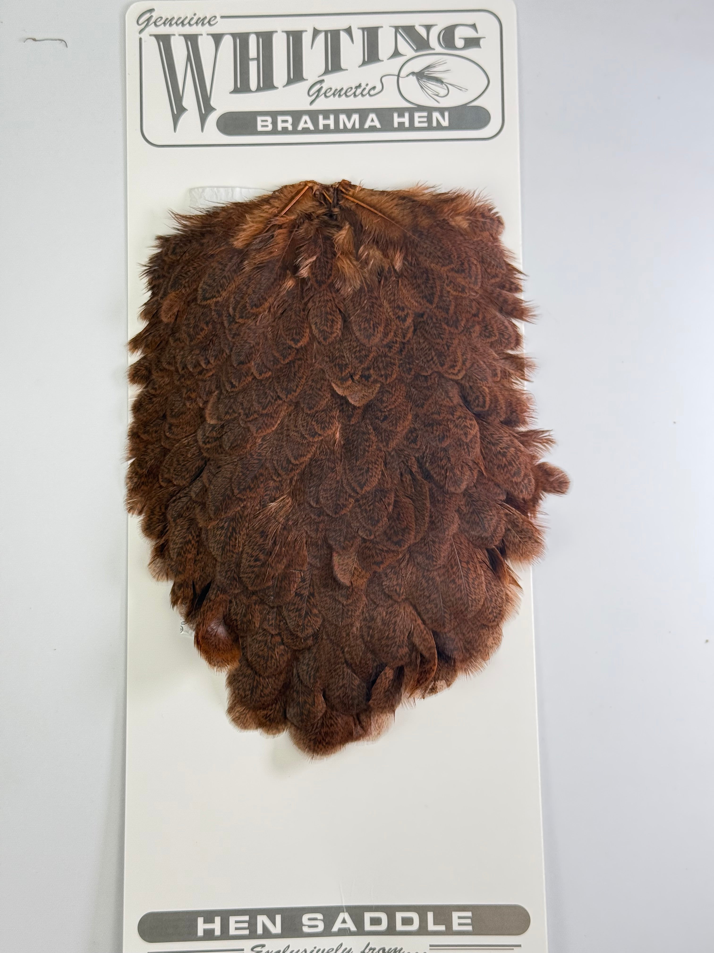 コックデレオン Whiting Badger dyed Brown Whiting Hackle – Smitty's Fly Box