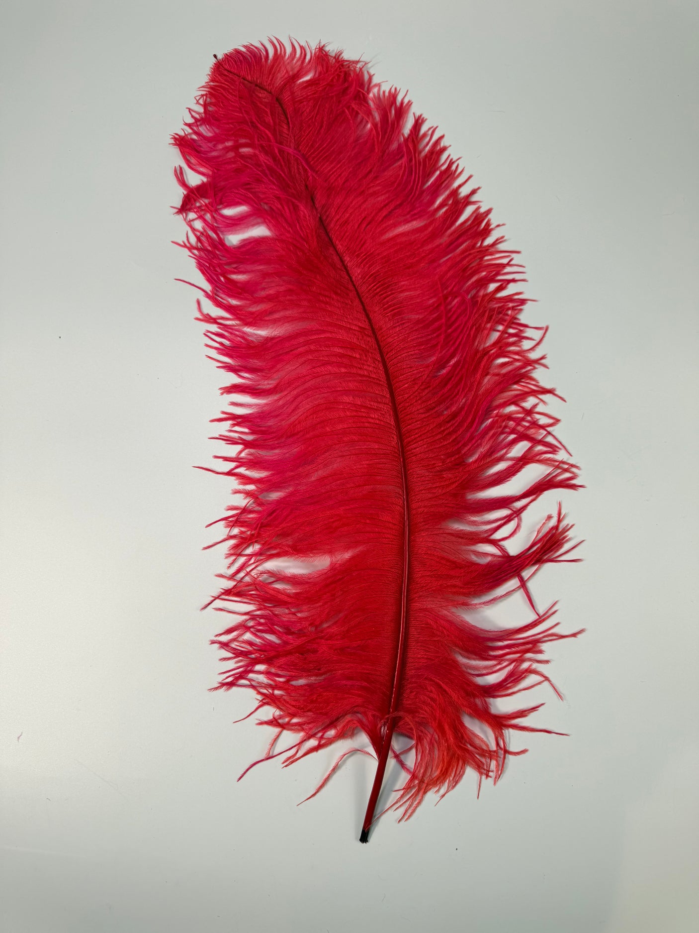 Jumbo Ostrich Plume