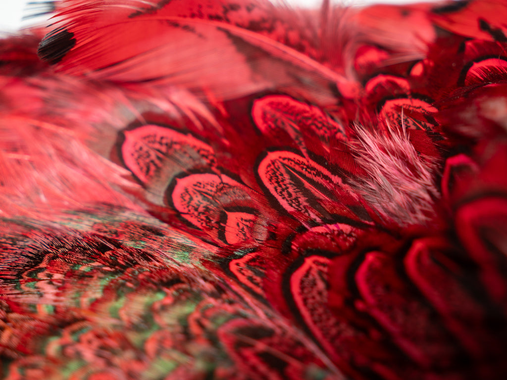 Ringneck Pheasant Skin Flourescent Red