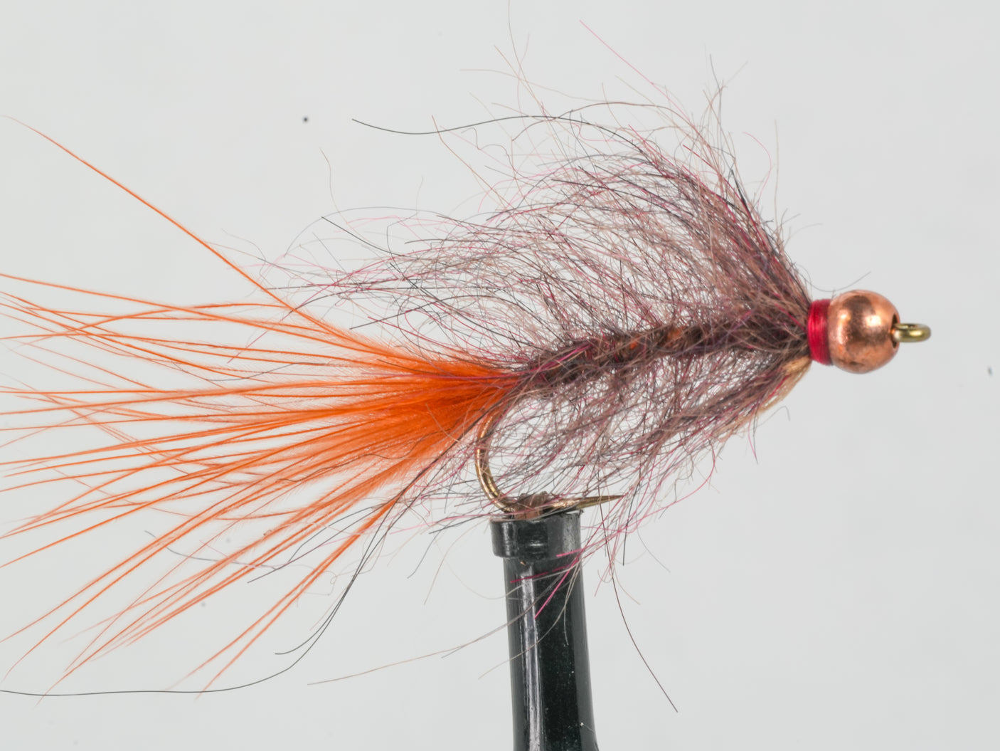 Hale Bopp Leech - Bead Head