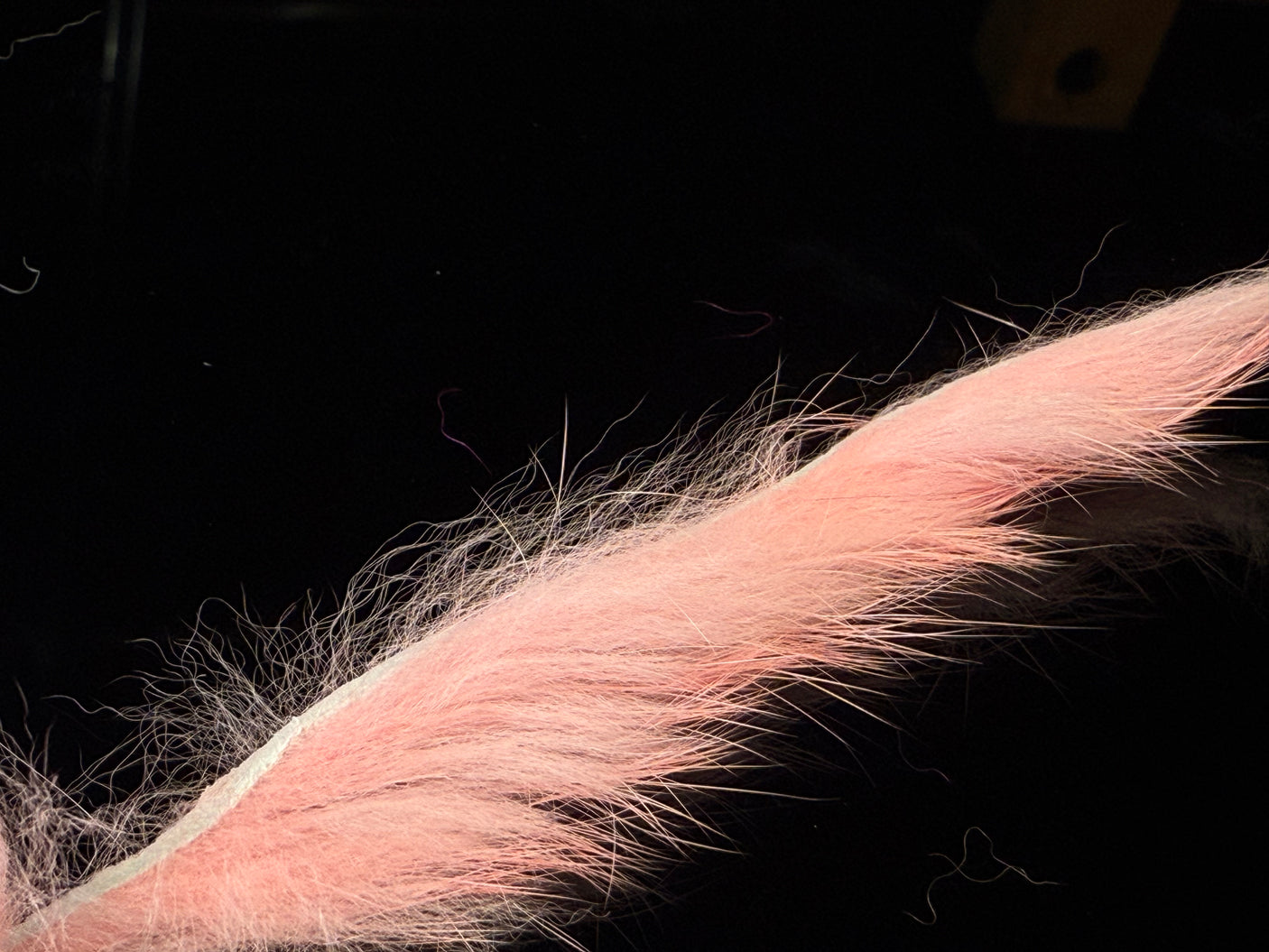 Micro Rabbit Strips