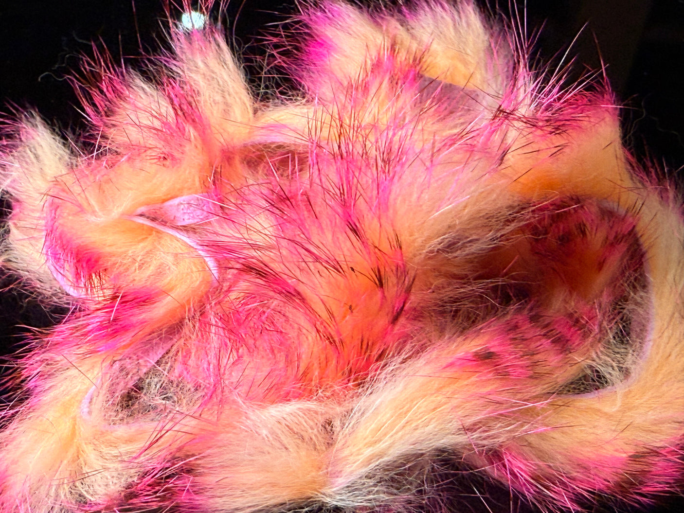Tiger Barred Rabbit Strips
