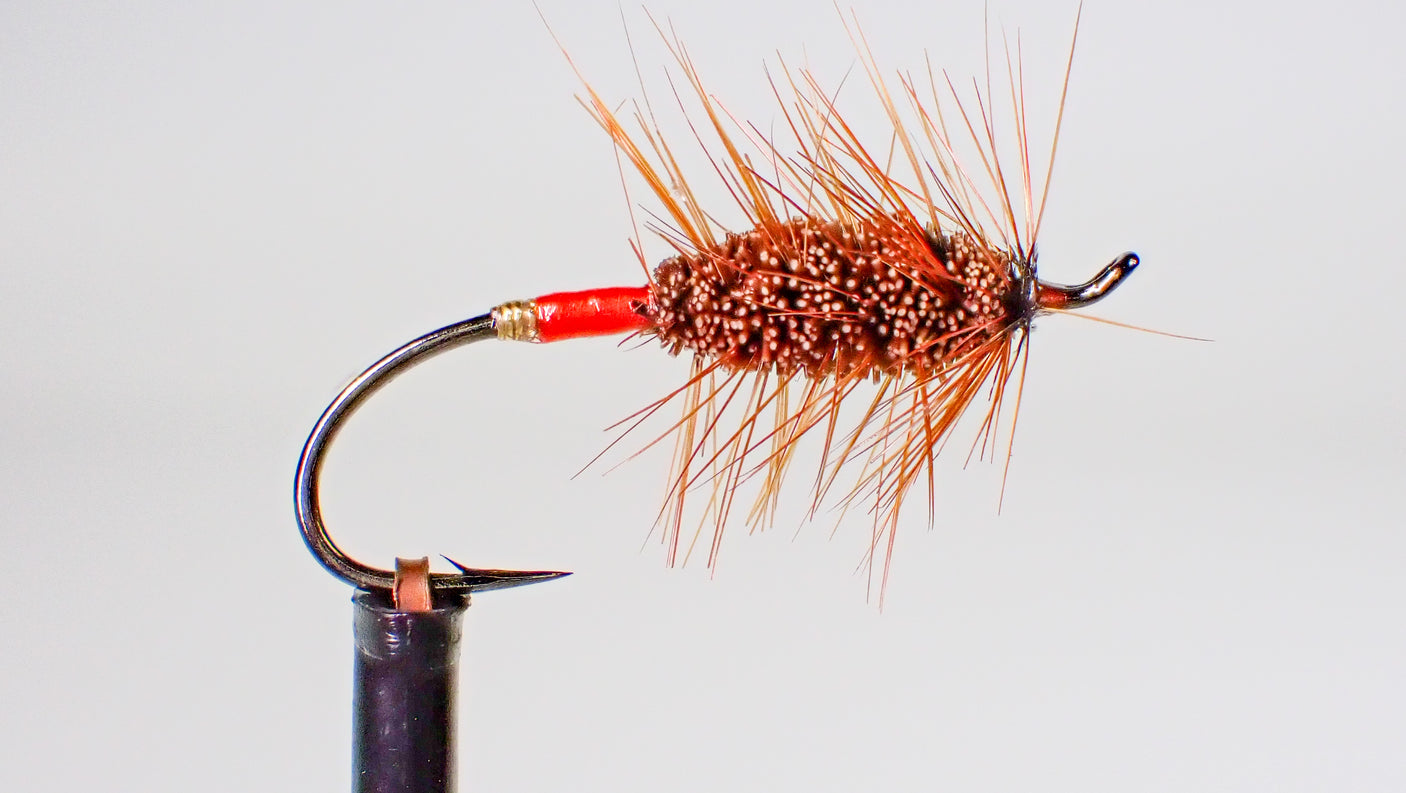 Buck Bug
