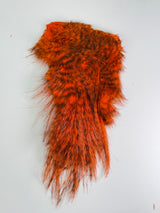 Whiting Bird Fur