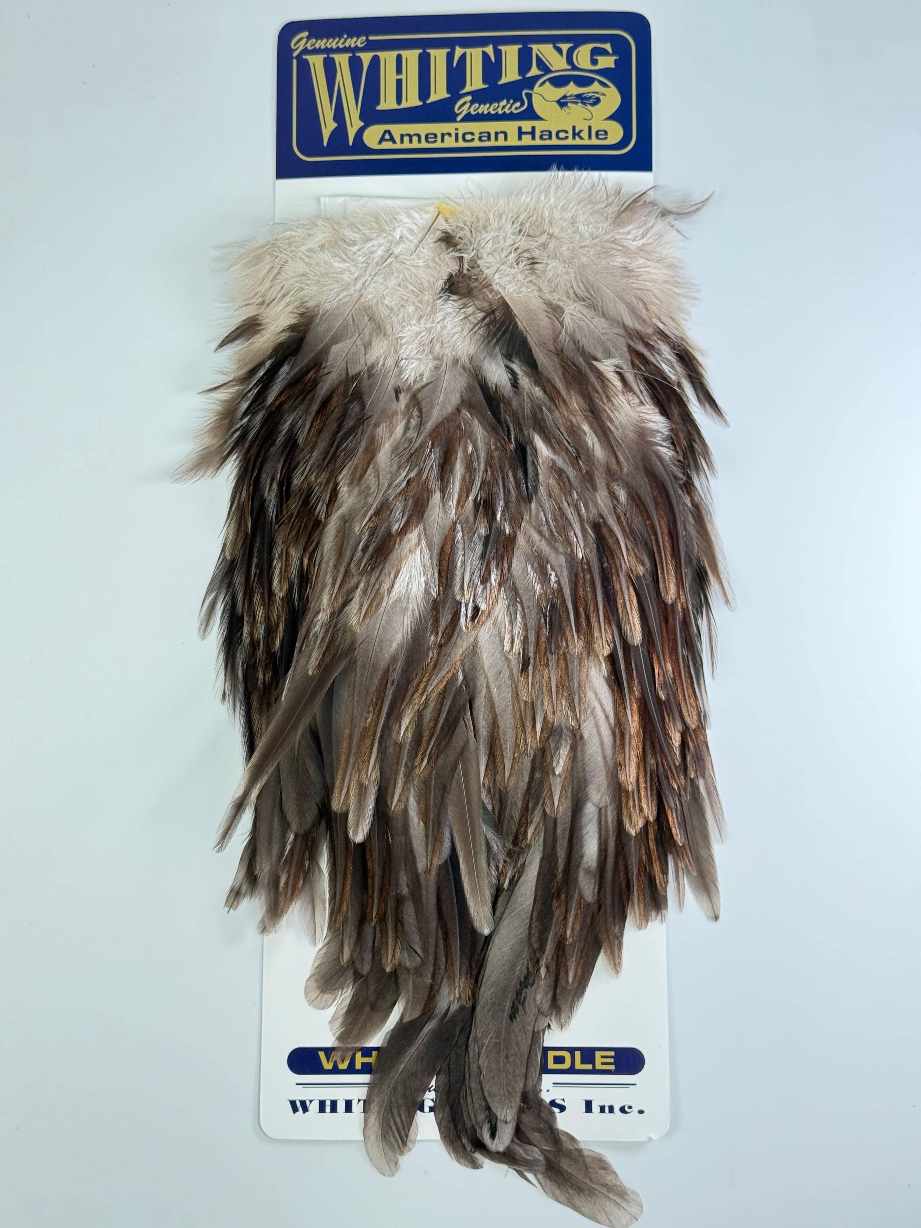 Whiting American Rooster Saddle – Waters West Fly Fishing