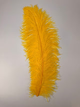 Jumbo Ostrich Plume
