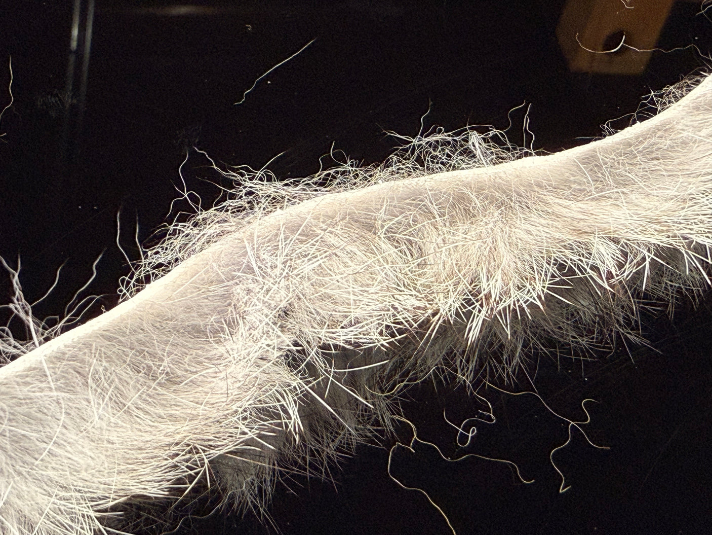 Micro Rabbit Strips