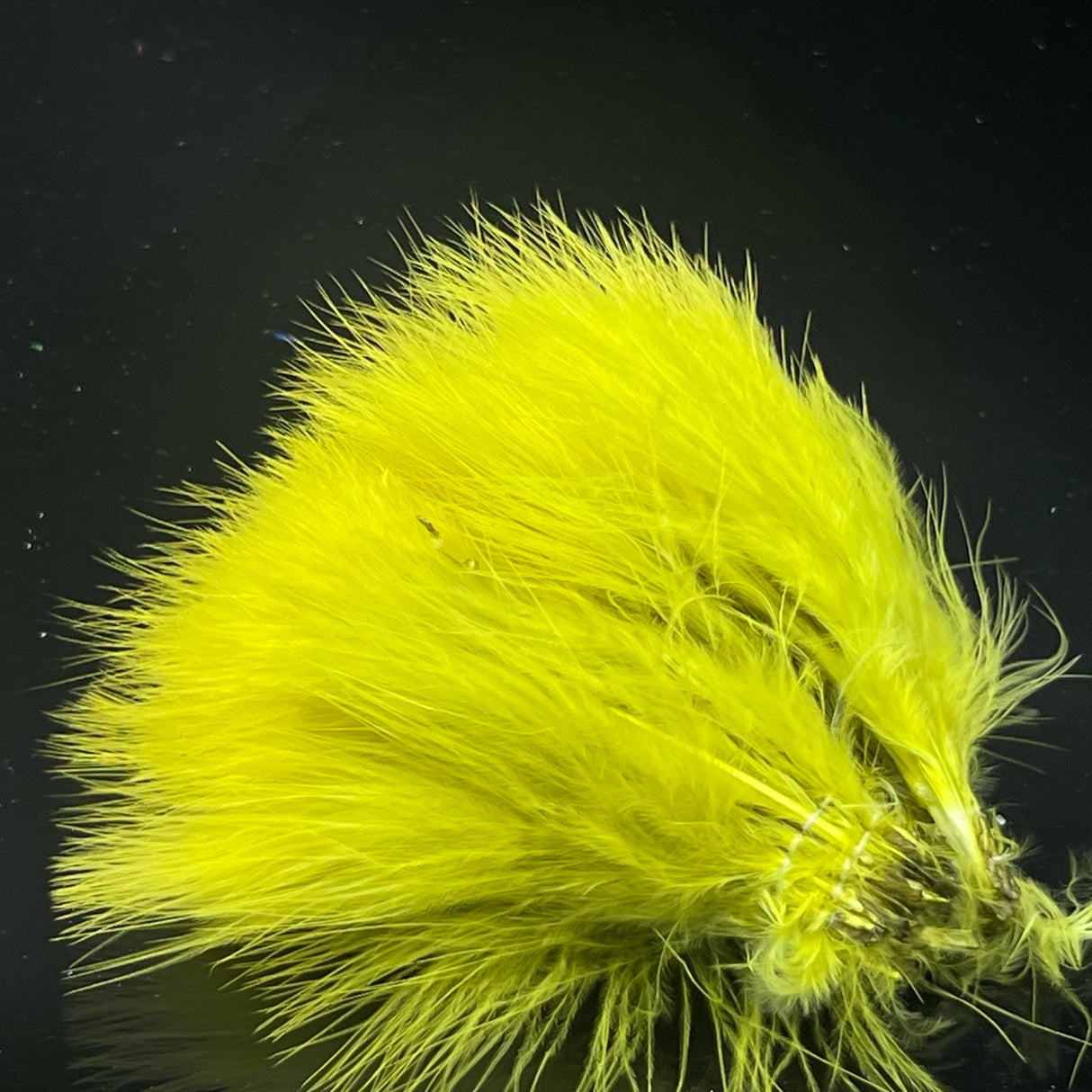 Strung Blood Quill Marabou