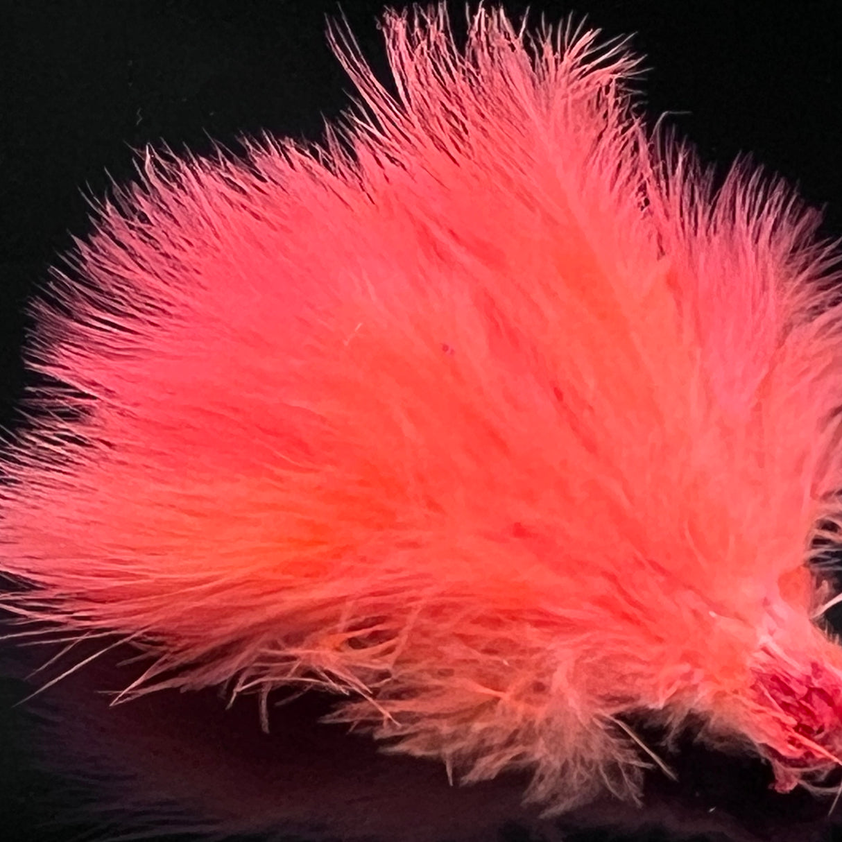 Strung Blood Quill Marabou