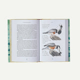 A Temporary Refuge: Fourteen Seasons with Wild Summer Steelhead