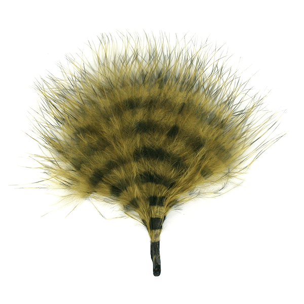 Barred Marabou