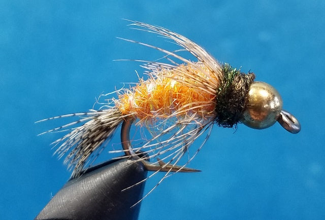 Anderson's Bird of Prey October Caddis