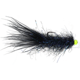 Hot Head Balanced Leech