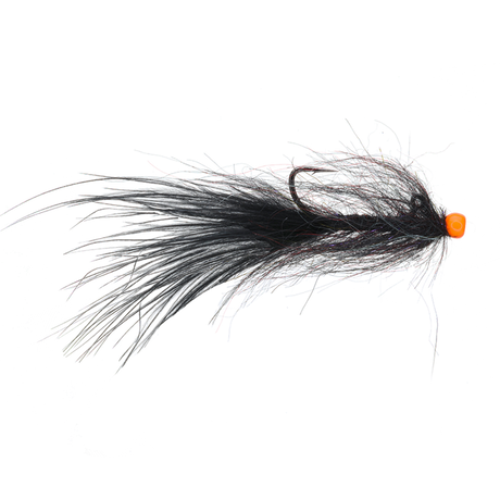 Hot Head Balanced Leech