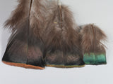 Ocellated Turkey Body Feathers