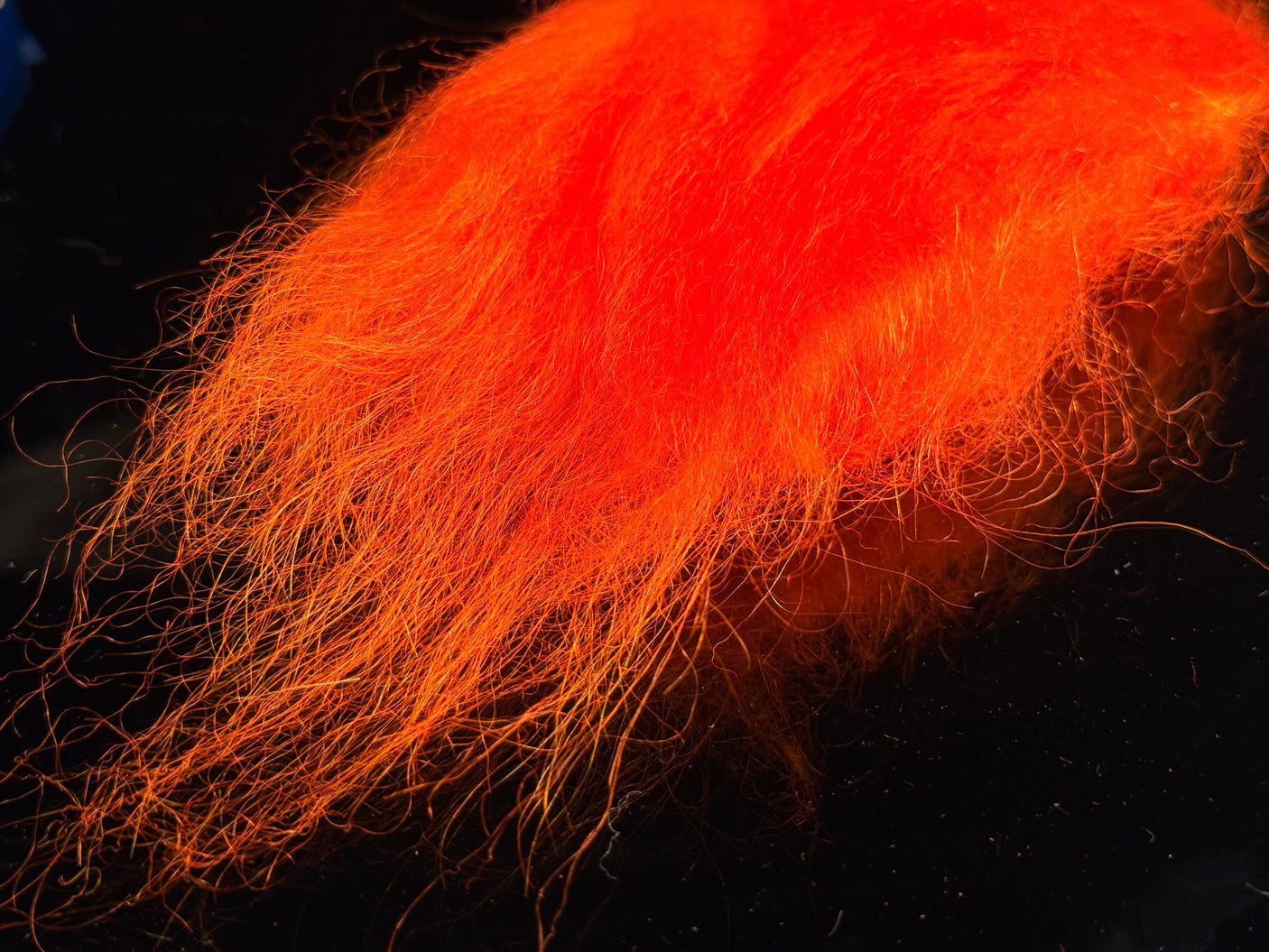 Icelandic Sheep Hair