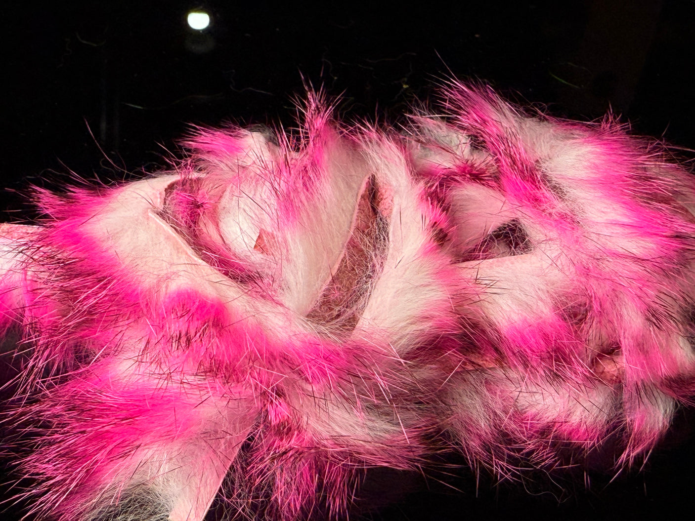 Tiger Barred Rabbit Strips