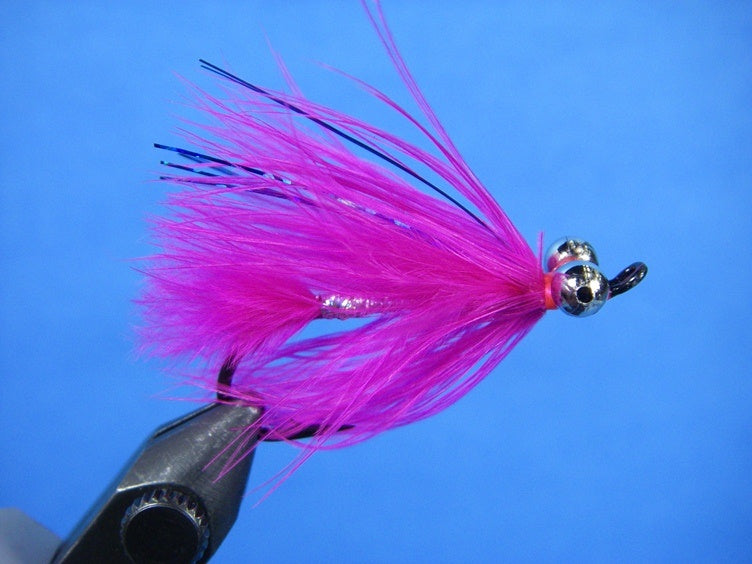 Coho Comet