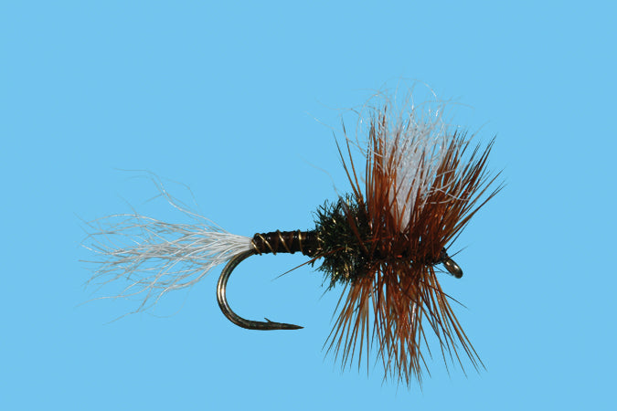 H&L Variant