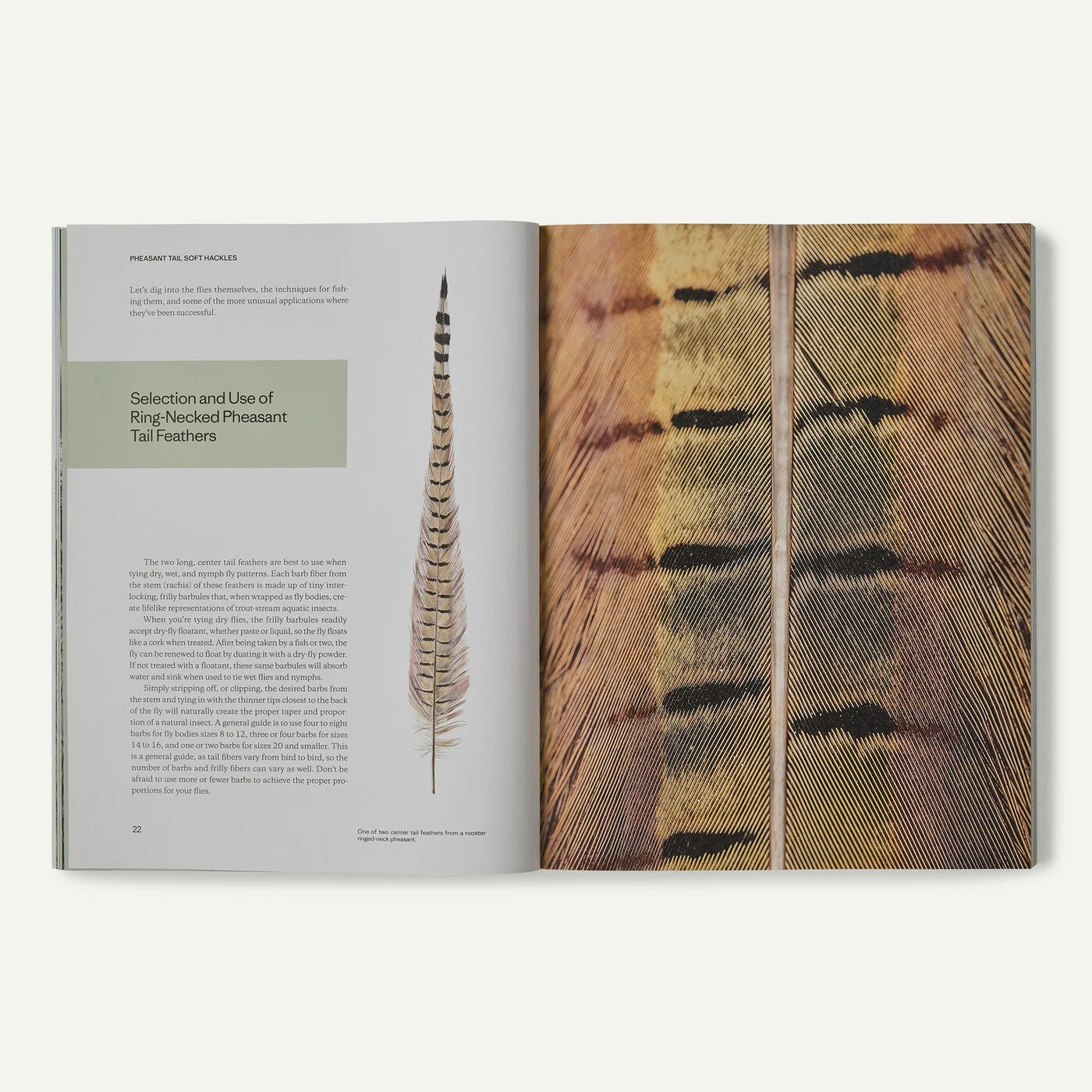 Pheasant Tail Simplicity by Yvon Chouinard, Craig Mathews, and Mauro Mazzo