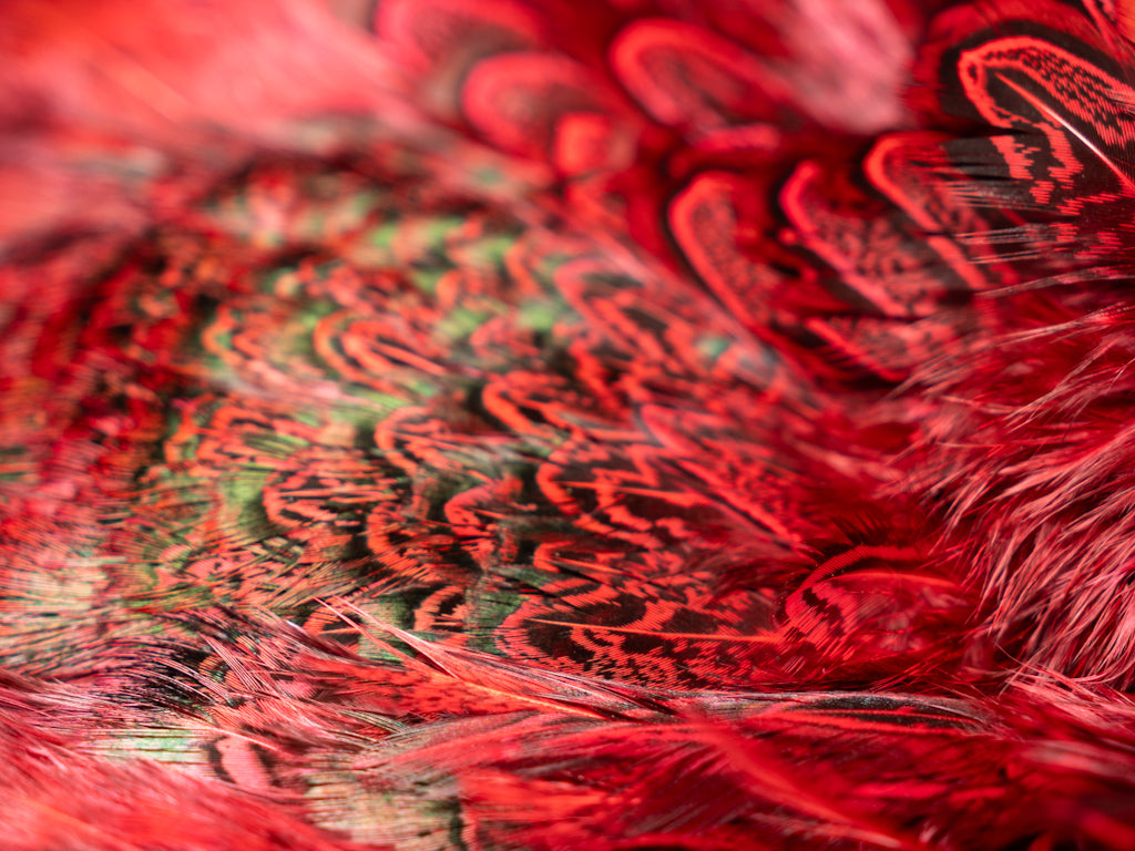 Ringneck Pheasant Skin Flourescent Red