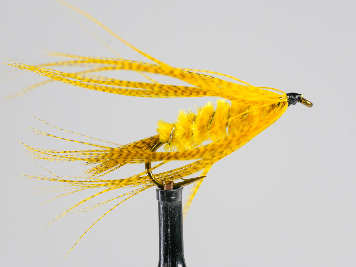 Knudsen Spider