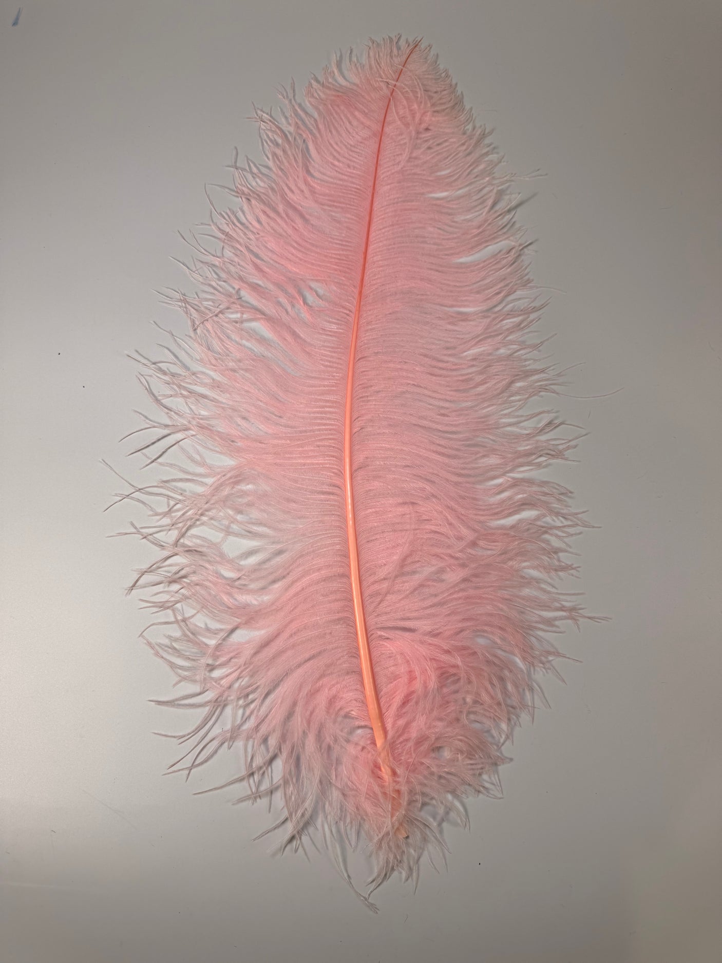 Jumbo Ostrich Plume
