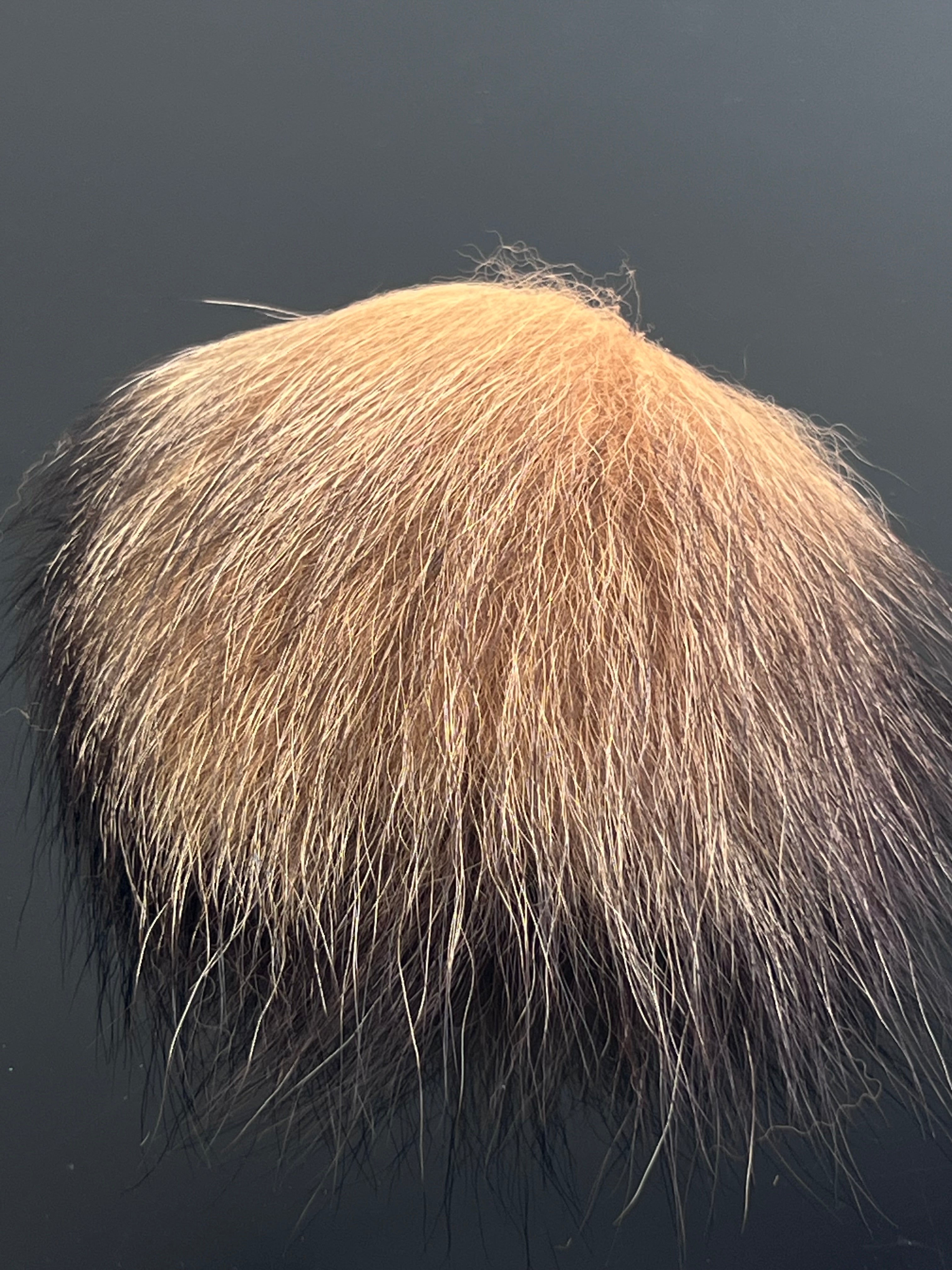 Silver Fox Tail Piece – Waters West Fly Fishing Outfitters