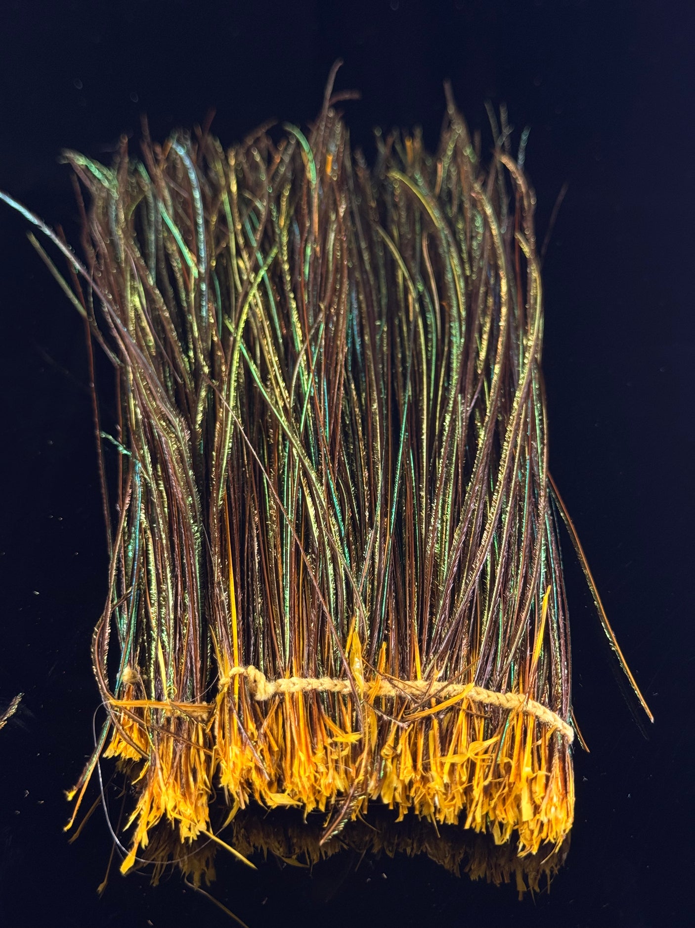 Peacock Strung Herl