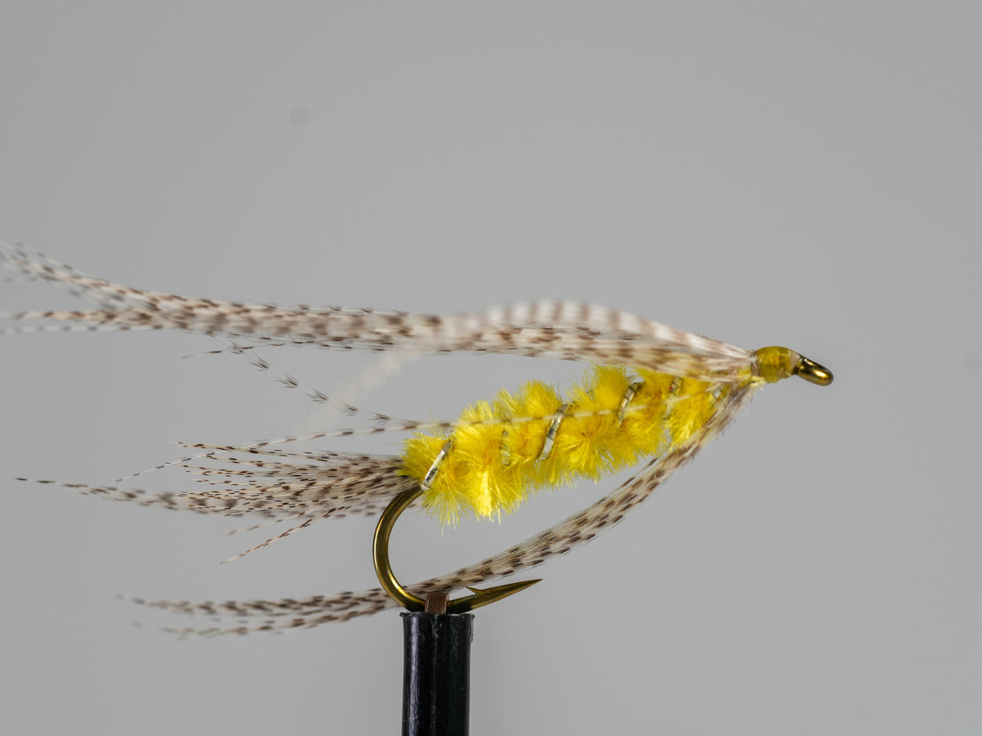 Knudsen Spider