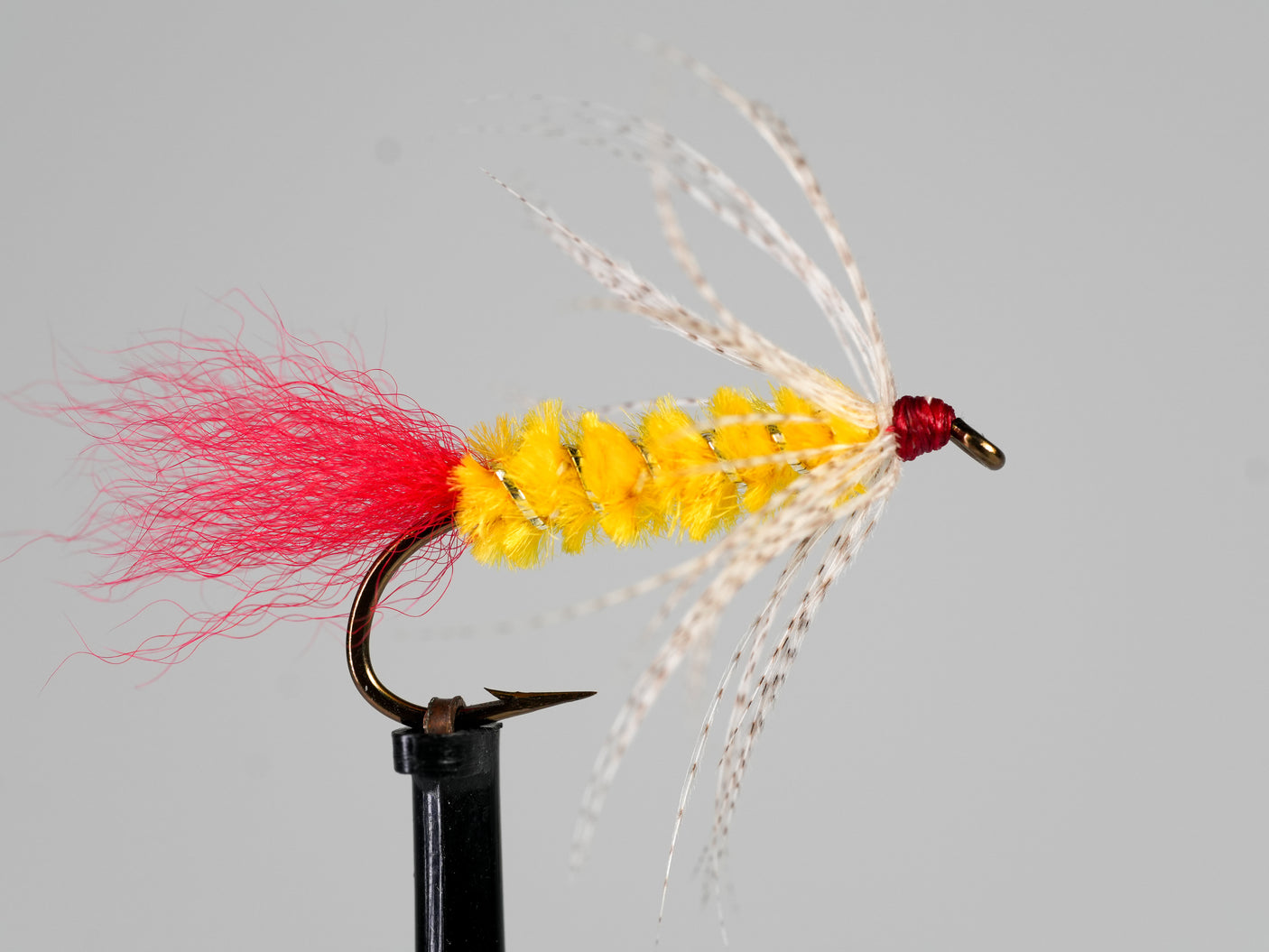 Knudsen Spider
