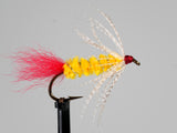 Knudsen Spider
