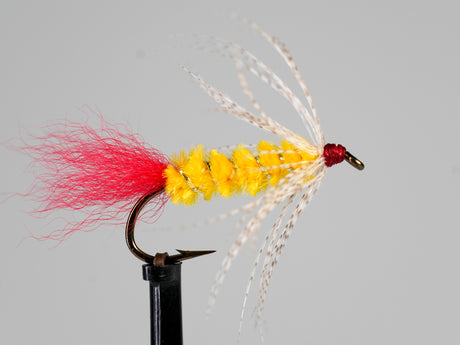 Knudsen Spider
