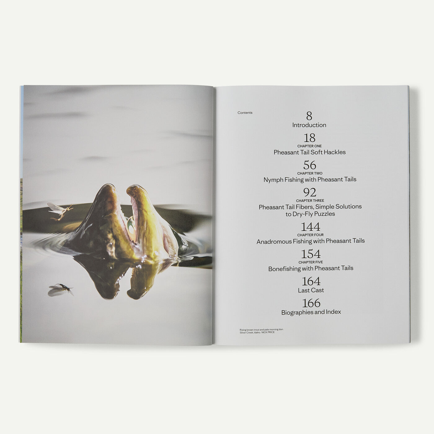 Pheasant Tail Simplicity by Yvon Chouinard, Craig Mathews, and Mauro Mazzo