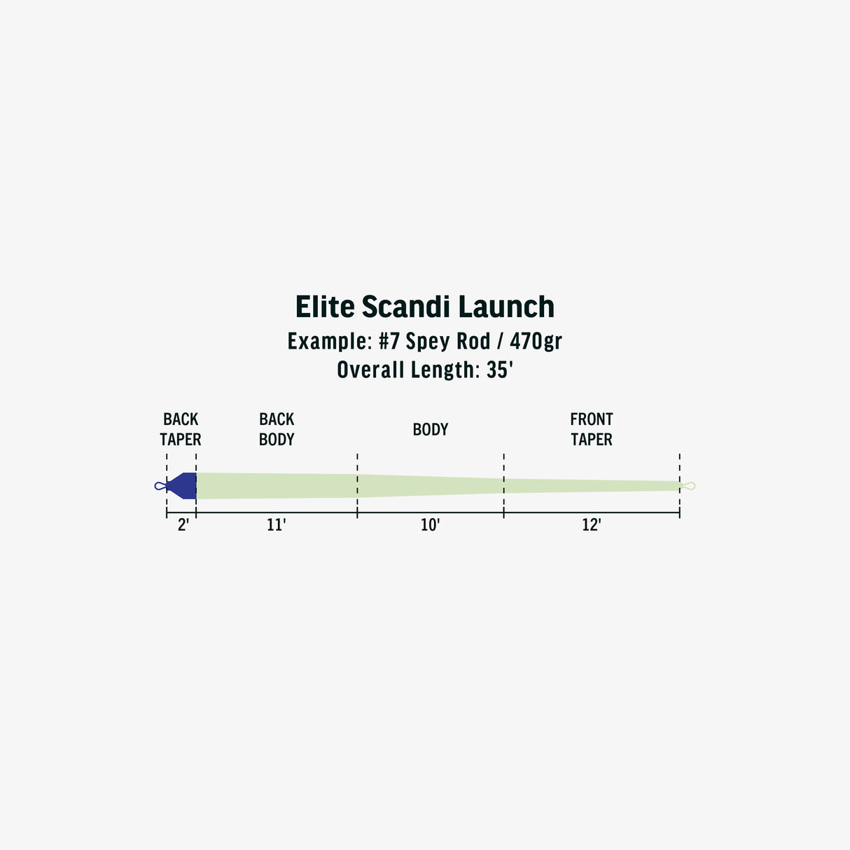 Rio Elite Scandi Launch Shooting Head