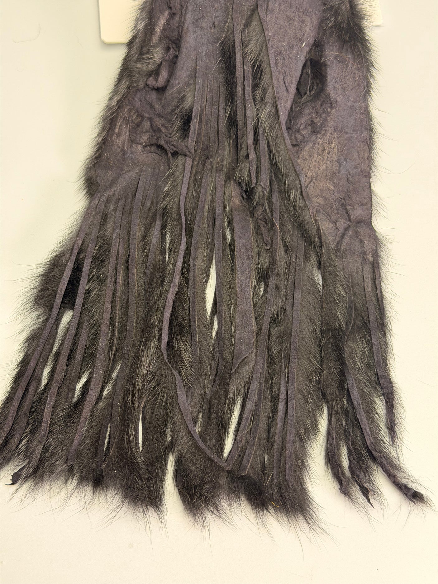 Pine Squirrel Skin - Zonked