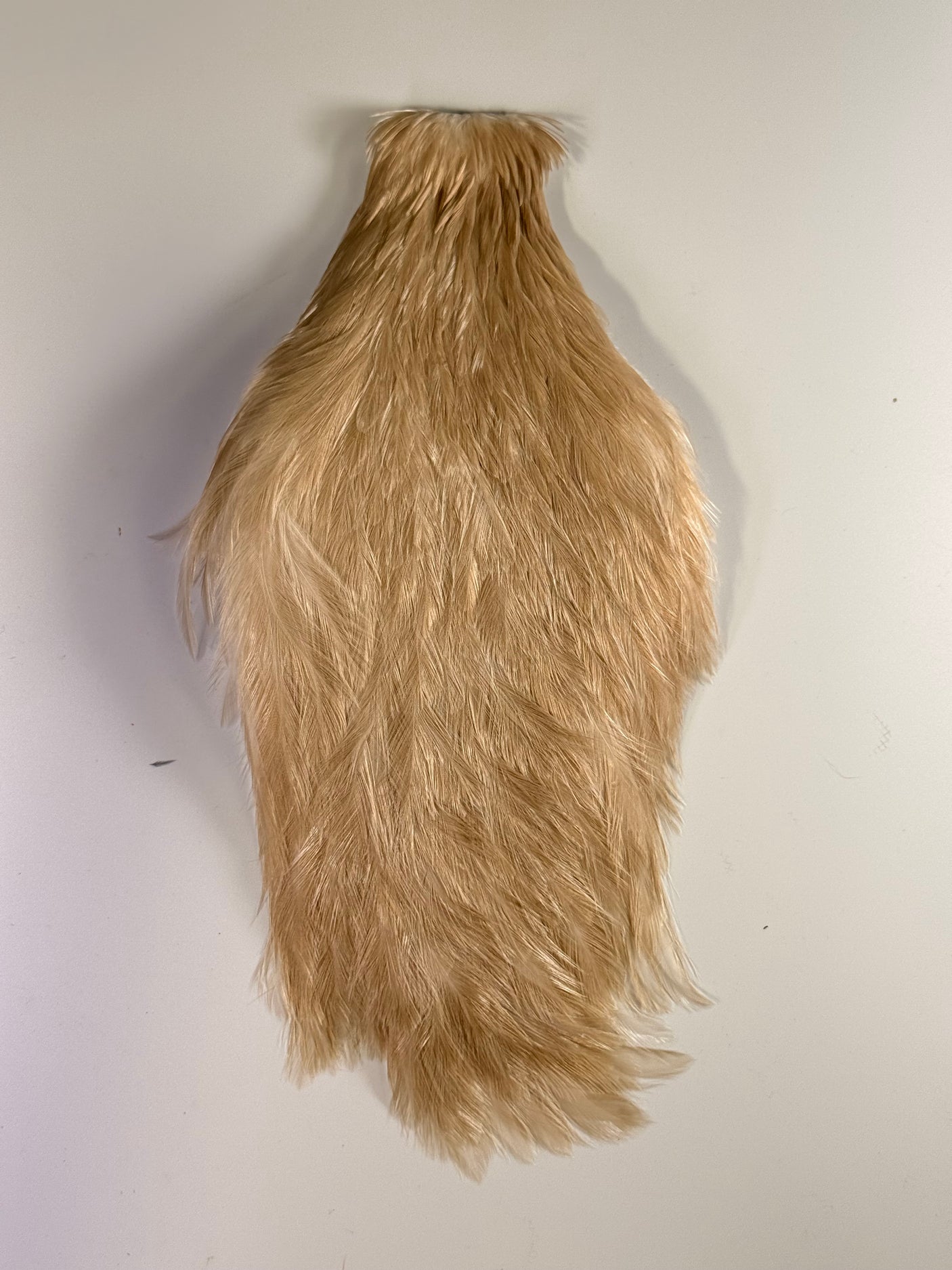 Streamer Rooster Neck #1