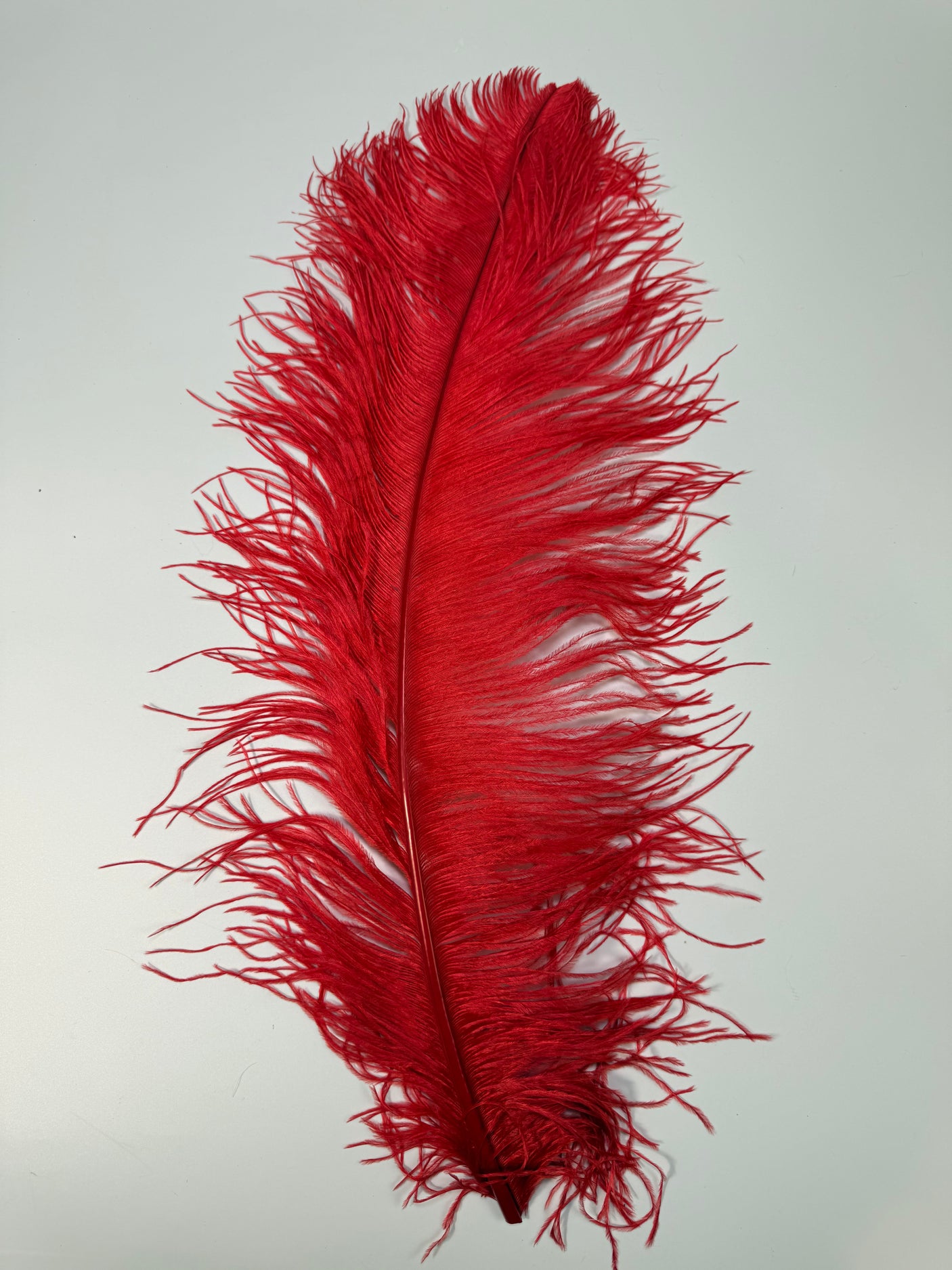 Jumbo Ostrich Plume