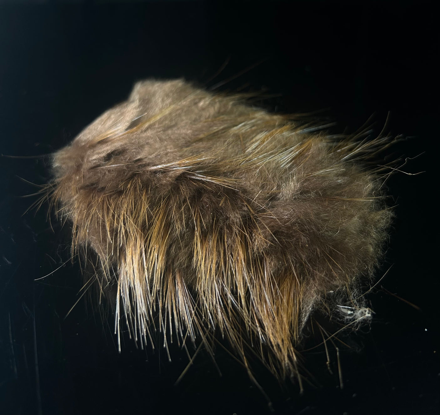 Beaver Belly Fur