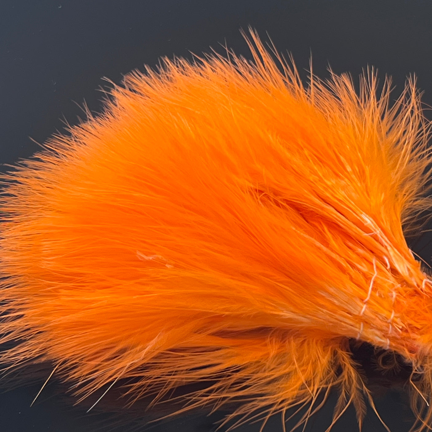 Strung Blood Quill Marabou